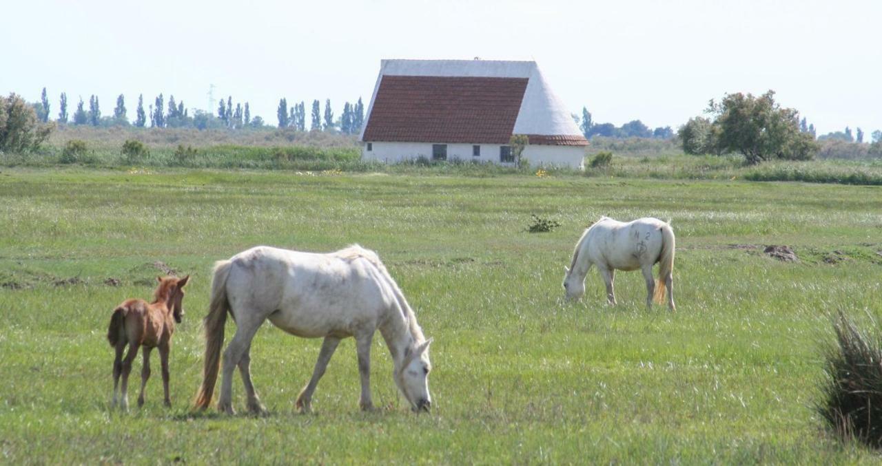 Chez Marinette Διαμέρισμα Le Cailar Εξωτερικό φωτογραφία